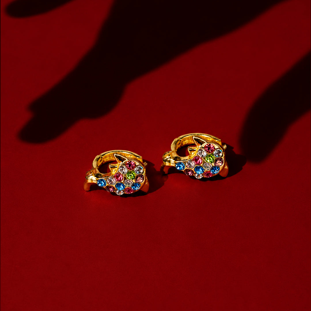 Aretes de delfín