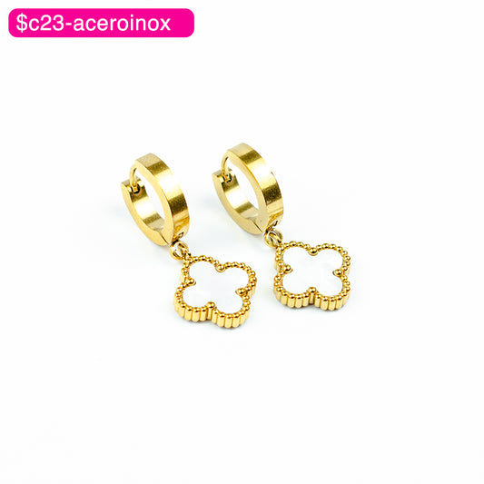 (AIB_00088) Aretes de trébol